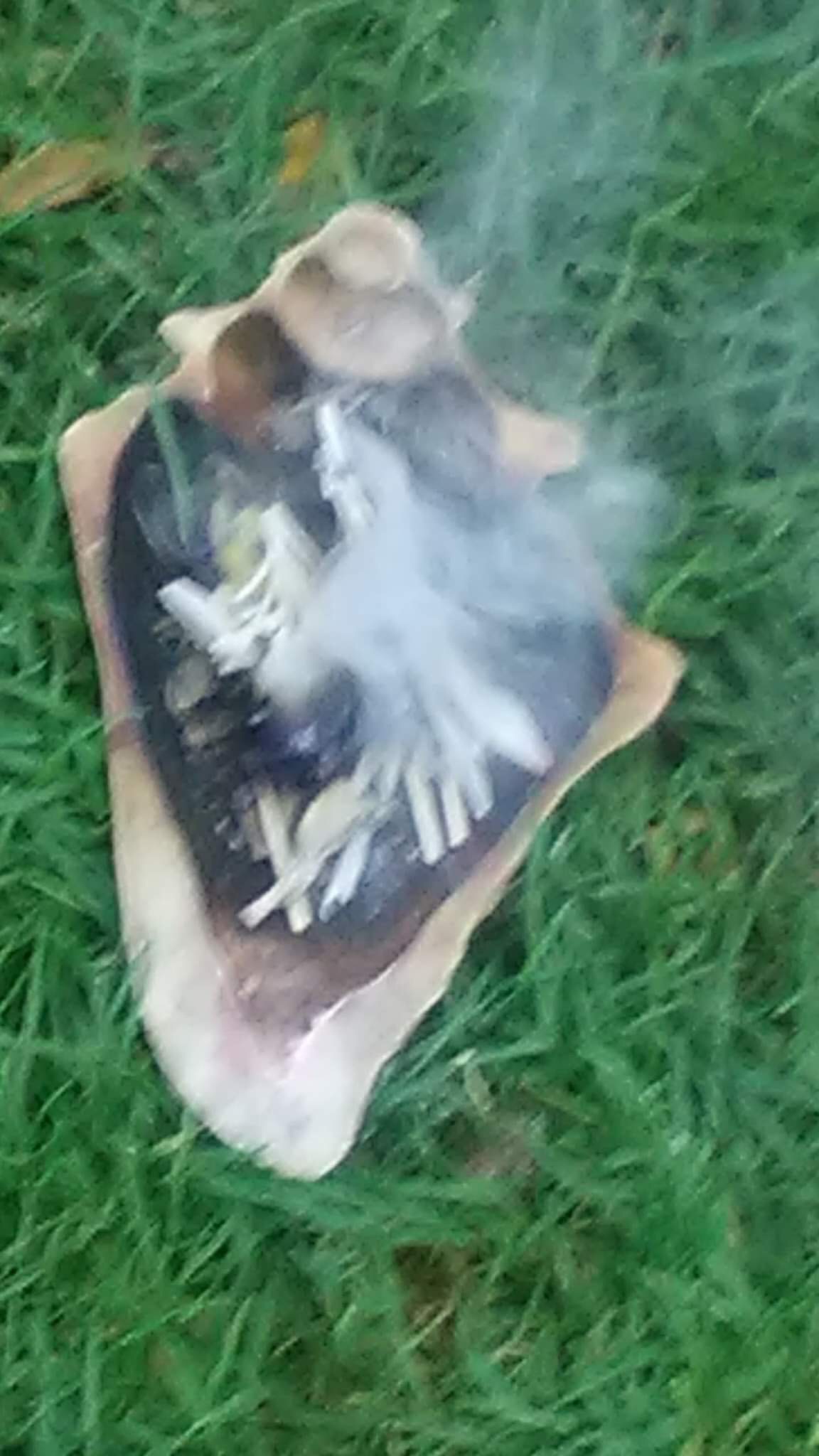 Smudging in the park